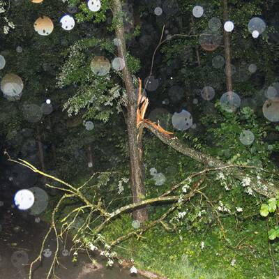 Feuerwehren im Dauereinsatz