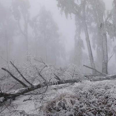 Waidhofen an der Thaya, NÖ