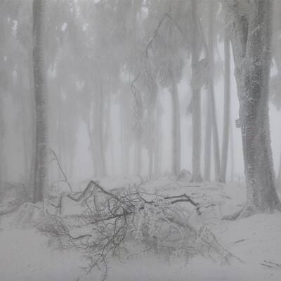 Waidhofen an der Thaya, NÖ