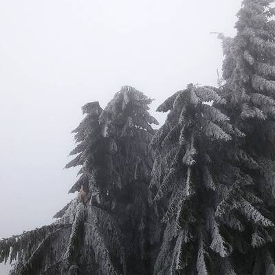 Ausnahmezustand in Ottenschlag