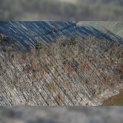 So enorm sind die Schäden