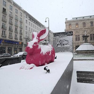 Schneewalze trifft Wien