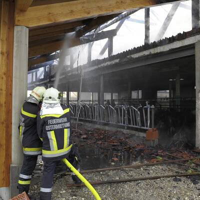 Blitzschlag: Brand auf Anwesen in Tarsdorf