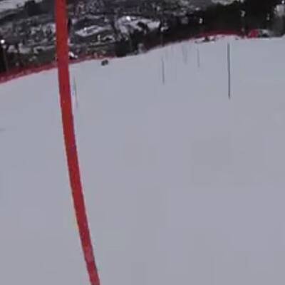 Alles wartet auf den Start..