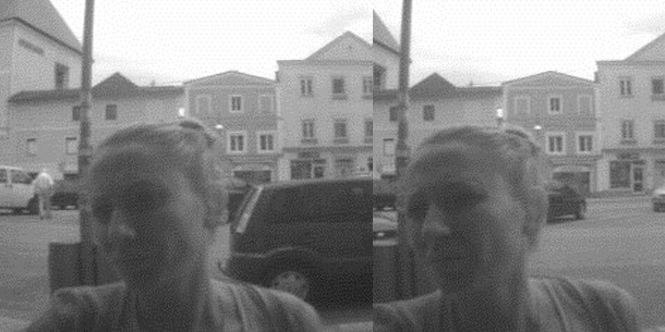 Das ist Österreichs gemeinste Diebin