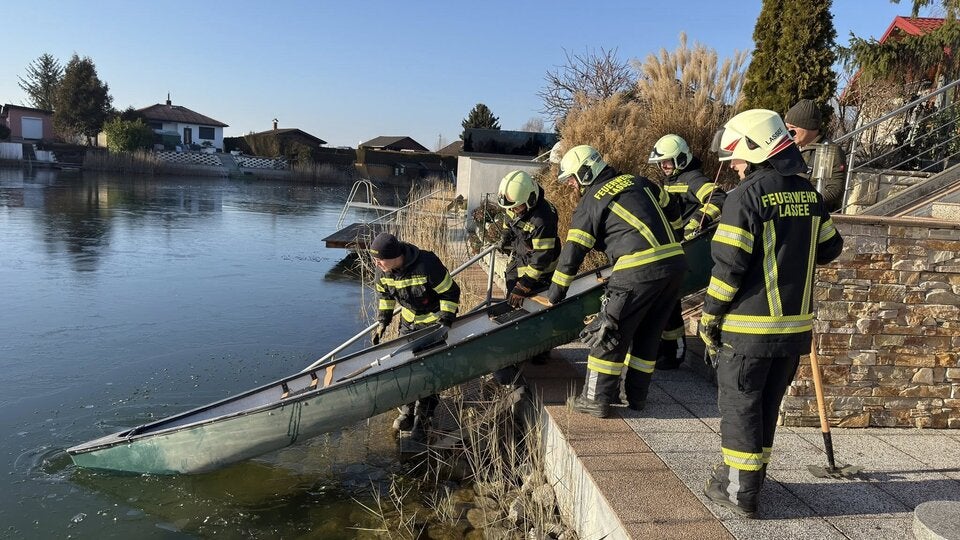 Schwan aus See gerettet