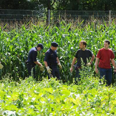 Boa Constrictor in Graz entlaufen