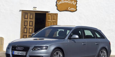 Das Alpha-Tier unter den Mittelklasse-Kombis