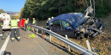 Schwerer Autounfall nach Wespenstich