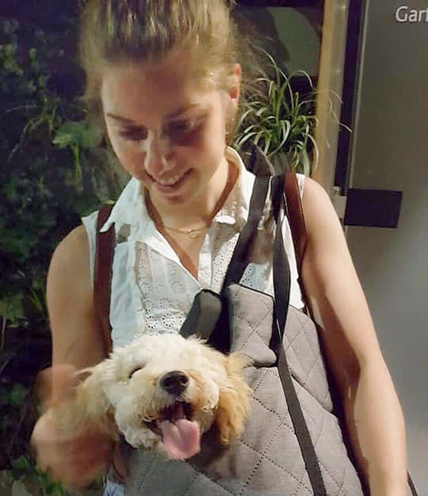 Entführter Pudel-Welpe 'Fredi' ist wieder da