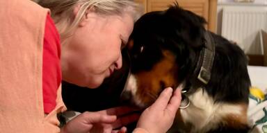 Malu wieder gefunden