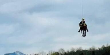 Untersberg Gr&ouml;dig kurze Hosen Touristen