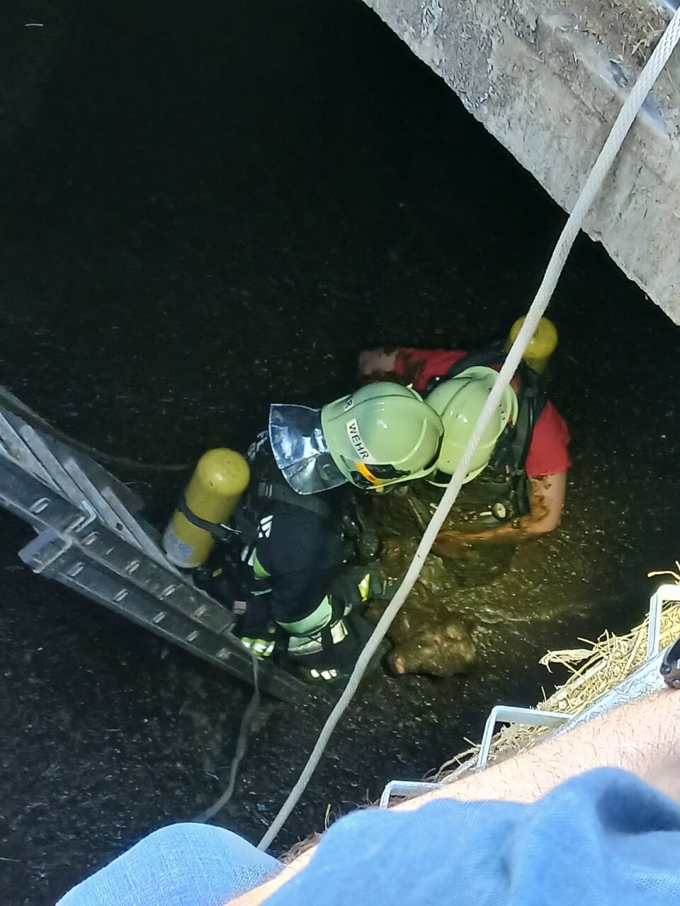 Feuerwehr konnte Kälber aus Güllegrube bergen.