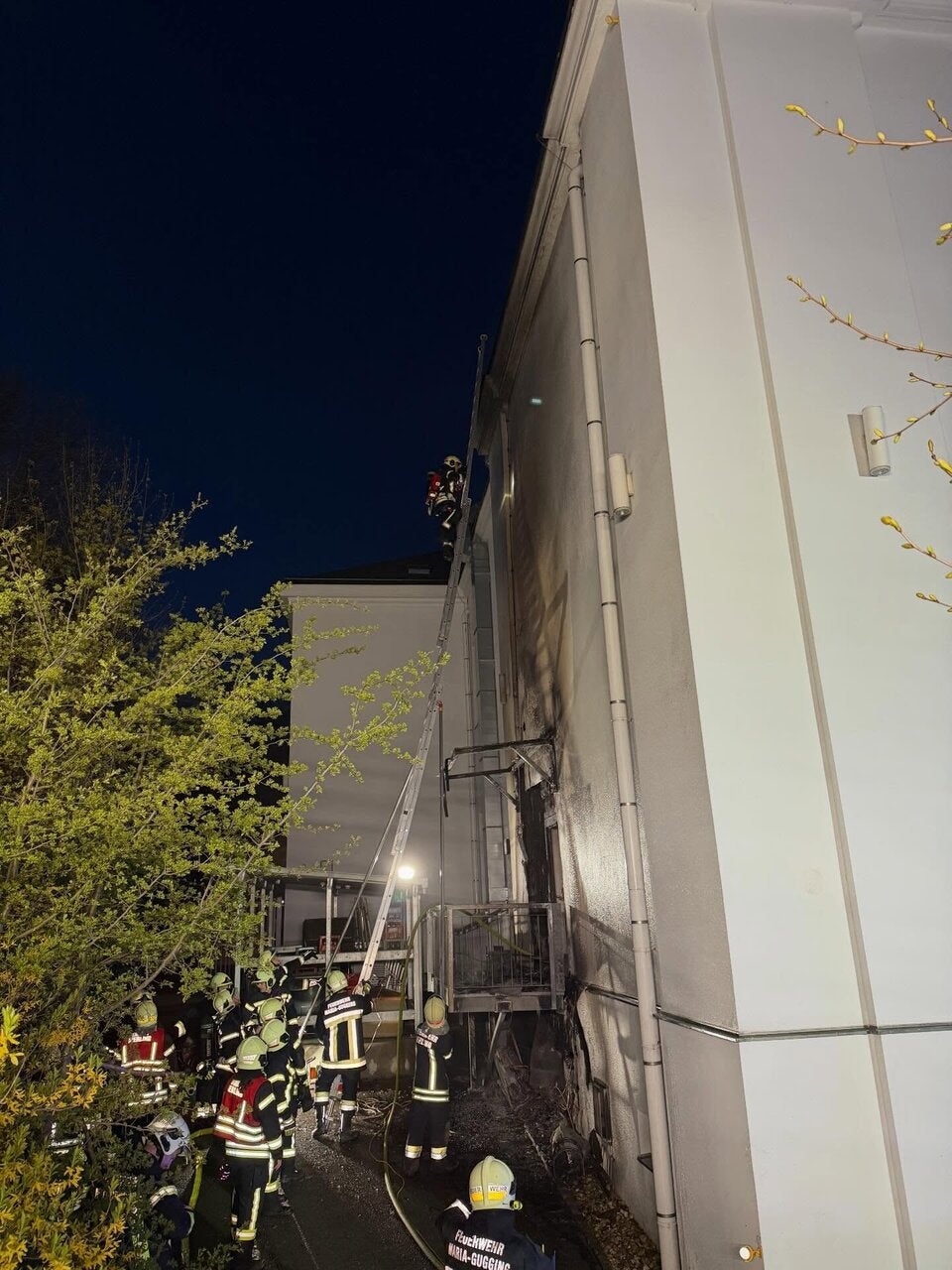 Museum Gugging: Brandursache geklärt