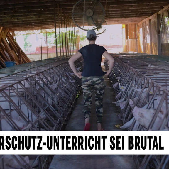 Kritik: Tierschutz-Unterricht sei brutal