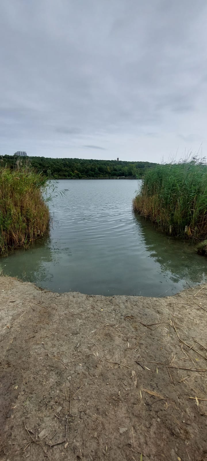 Enthauptete Leiche am Wienerberg: War es wieder Obdachlosen-Killer?