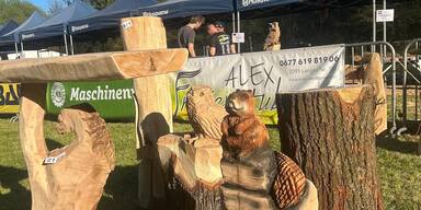 Internationales Motors&auml;genschnitz-Event im Waldviertel