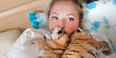 Tiger-Babys Hainburg Yagmur S.