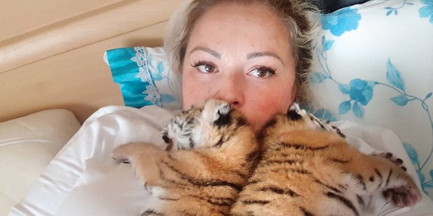 Tiger-Babys Hainburg Yagmur S.