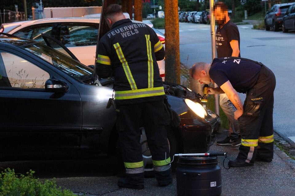 Während der Fahrt: Schlange schlängelt sich aus Motorhaube