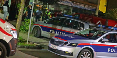 Massen-Schl&auml;gerei zur Sperrstunde