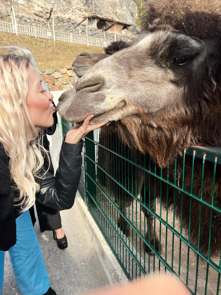Geheim: Mit ihm knutscht Lugners ''Bienchen''