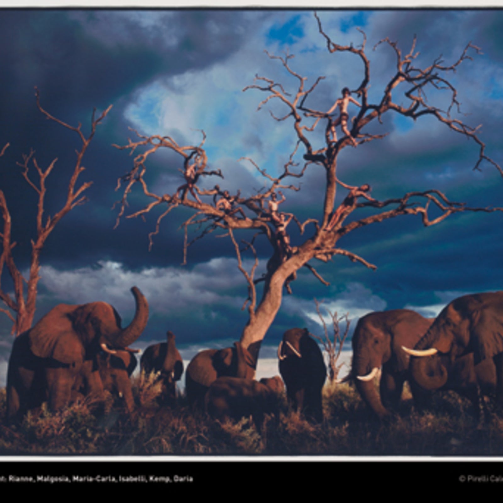 Pirelli Kalender 2009: Peter Beard schönste Bilder - stars24