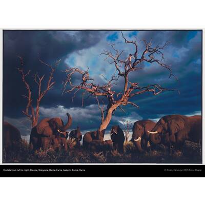 Pirelli Kalender 2009: Die schönsten Bilder von Peter Beard