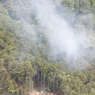 Murenabgänge und Waldbrand in Österreich