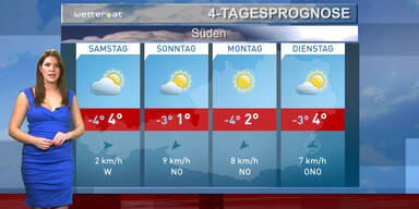 Die 4-Tagesprognose