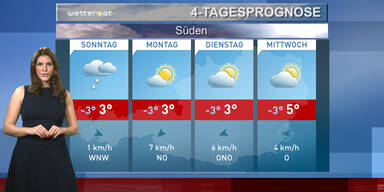 Die 4-Tagesprognose