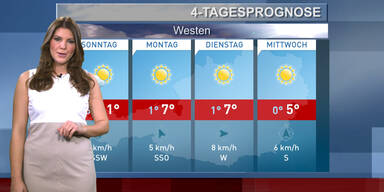 Die 4-Tagesprognose