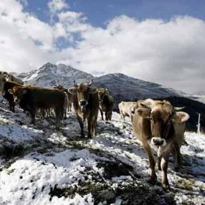 Hochwasser in Ransing bei Mariazell
