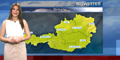Das Biowetter