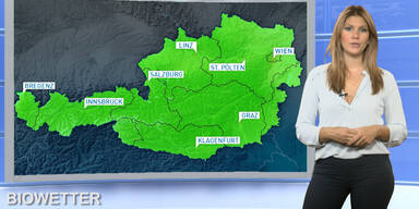 Das Biowetter