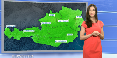 6_Biowetter.png
