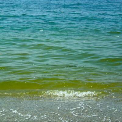 Hotel Valdor*** in Cavallino-Treporti / Italien