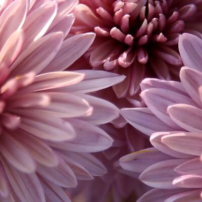 China und Japan: Stäbchen ins Essen stecken