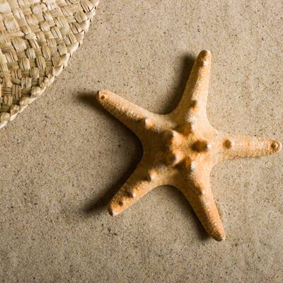 Beste Schi-Destination