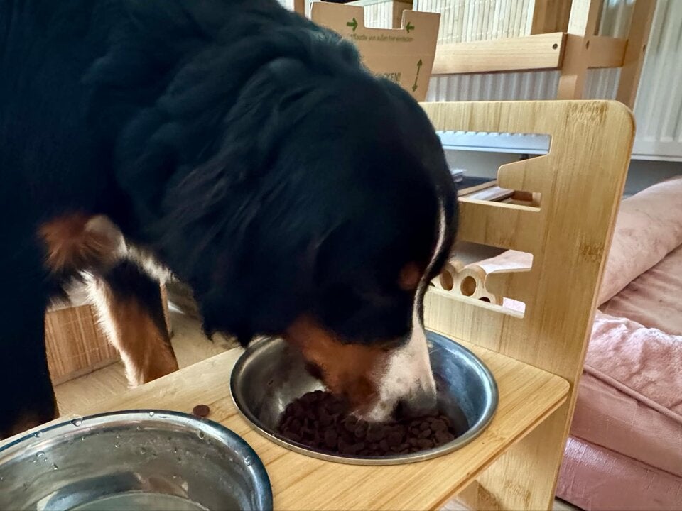 Malu wieder gefunden