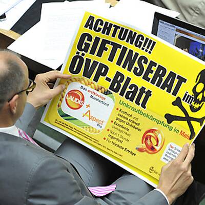 Die Bilder zur Bienen-Sitzung