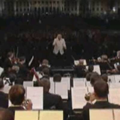 Bilder vom Sommernachtskonzert