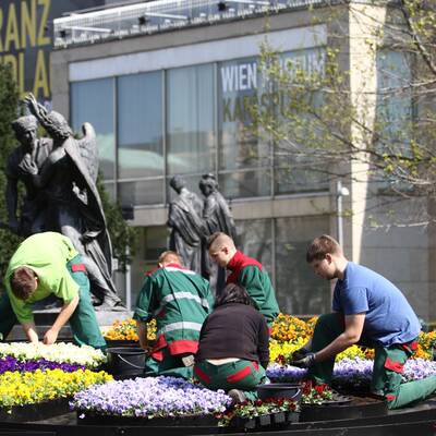 Sonnige Mittagspause