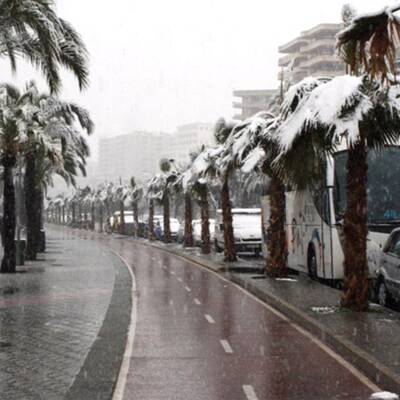 Schneefall im Februar 2012