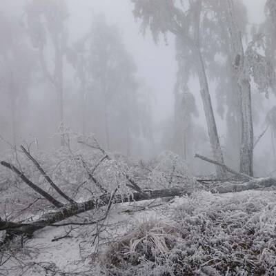 Waidhofen an der Thaya, NÖ