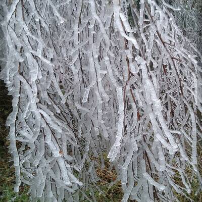 Ausnahmezustand in Ottenschlag