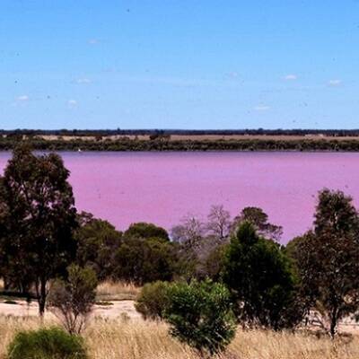 Hier befindet sich der See