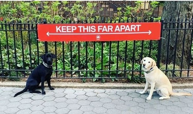 'Social Distancing': oe24 sucht die lustigsten Tierfotos