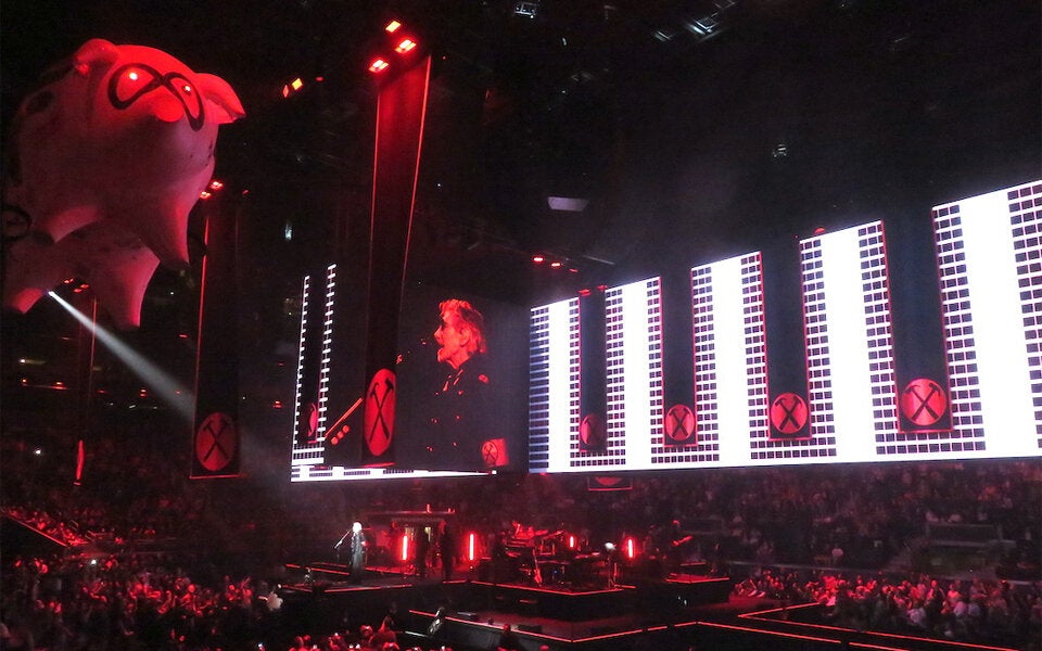 Waters Wut ist zu groß für Wien