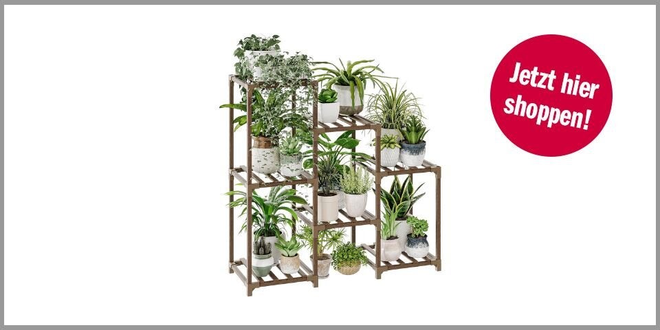 Bamworld Pflanzenständer – 25,20 Euro bei Amazon* 